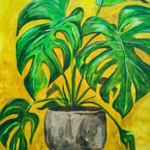 Sábado 03/10 a las 20:00 h. La Planta Monstera